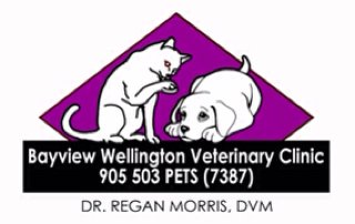 Bayview Wellington Veterinary Clinic